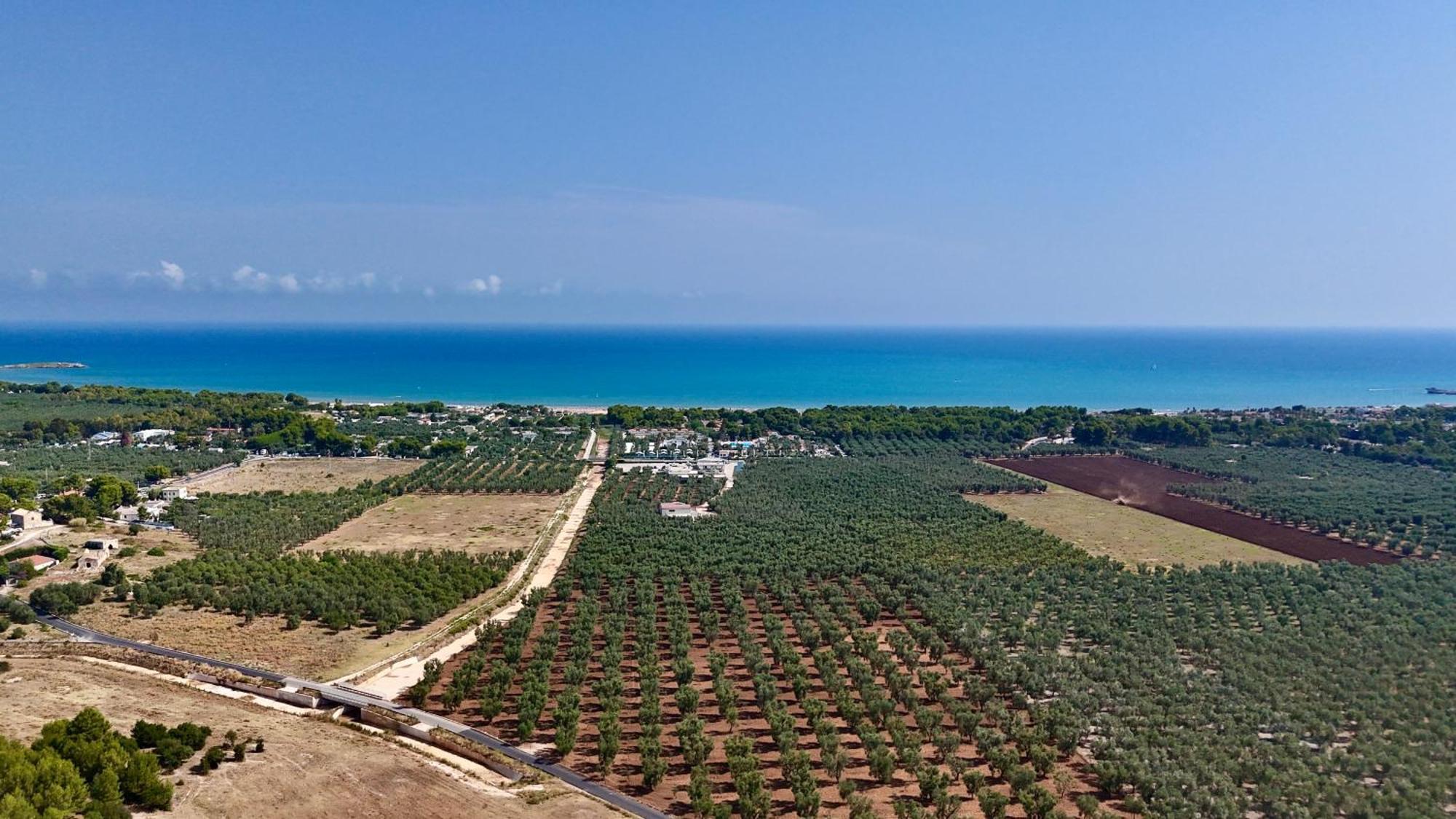 Villa Amica Vieste Bagian luar foto